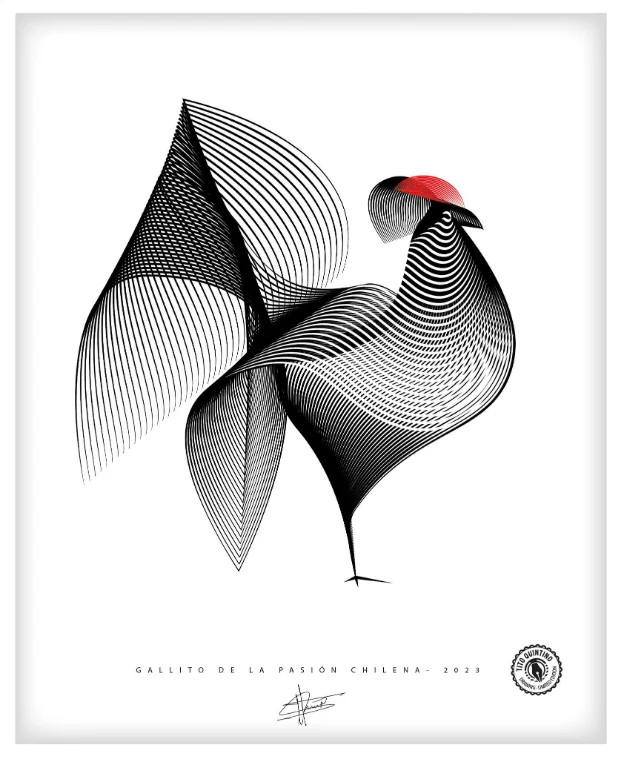 Gallito de la Pasión Chilena — Tito Quintino